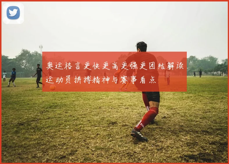 奥运格言更快更高更强更团结解读运动员拼搏精神与赛事看点