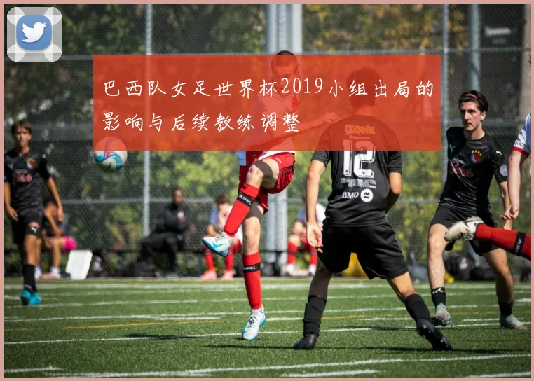 巴西队女足世界杯2019小组出局的影响与后续教练调整